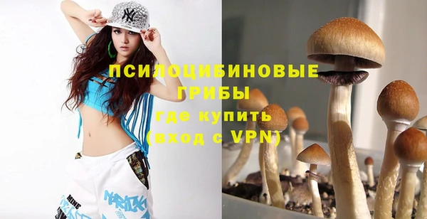 mix Армянск