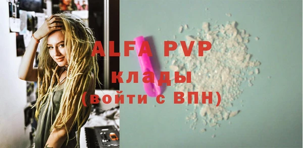спайс Арсеньев