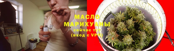 крисы Магадан