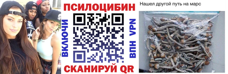 KRAKEN ССЫЛКА  Лермонтов  Псилоцибиновые грибы Magic Shrooms 